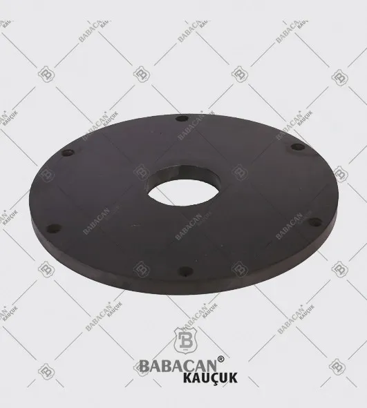 Dust Seal