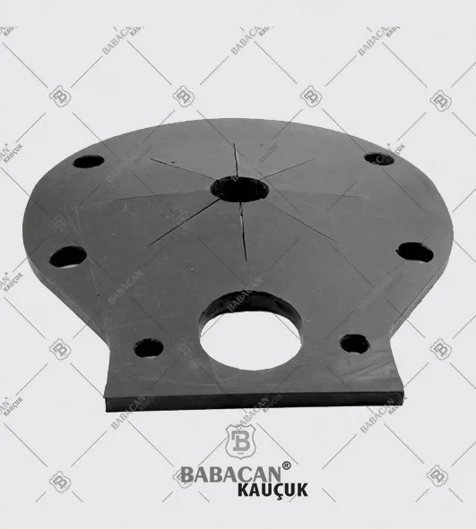 Dust Seal