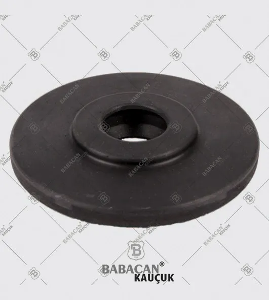Dust Seal