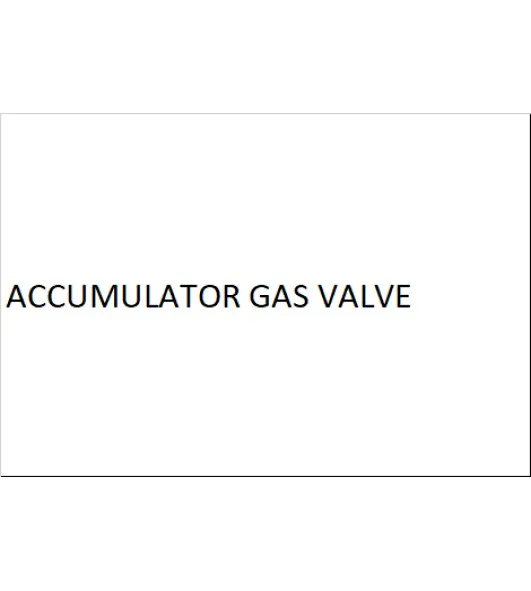 ACCUMULATOR GAS VALVE