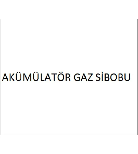ACCUMULATOR GAS VALVE