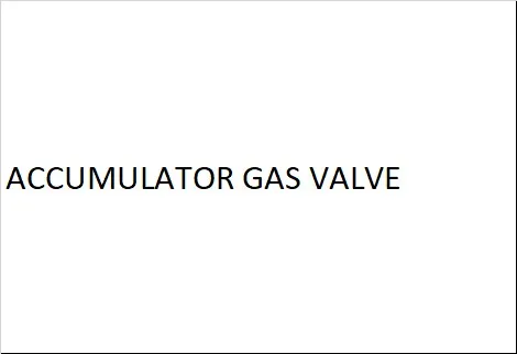 ACCUMULATOR GAS VALVE - 011.02506