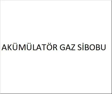 ACCUMULATOR GAS VALVE - 011.02506