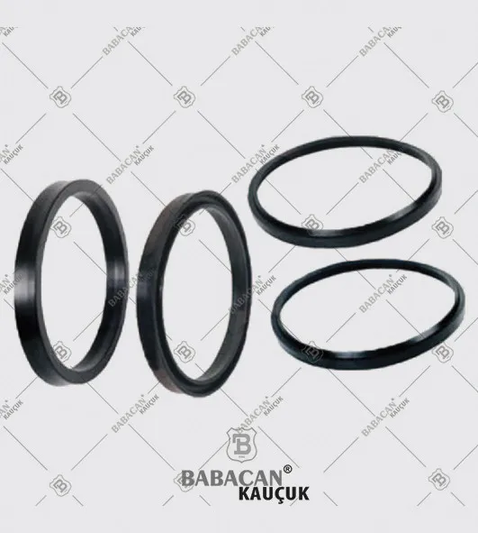 Scheiber Seal Kit