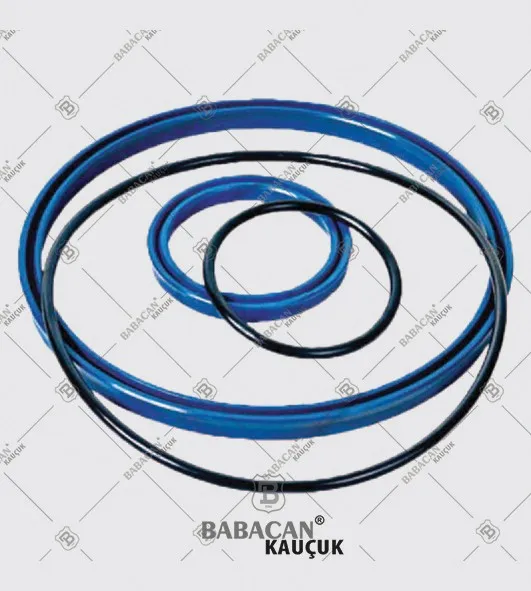 Scheiber Seal Kit