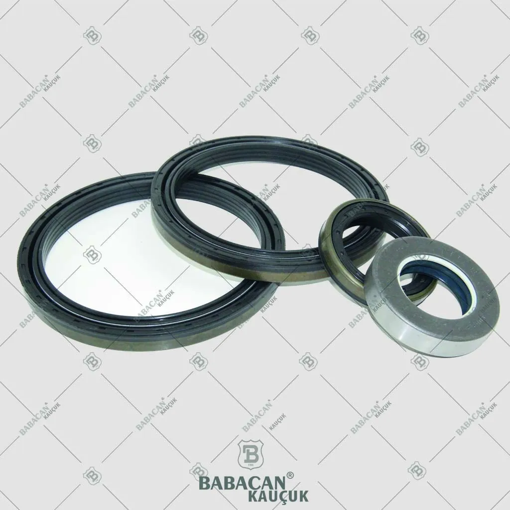 Oil Seals