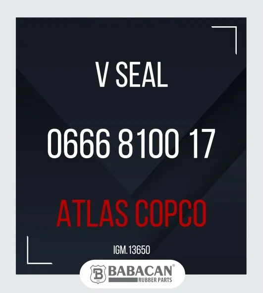 V SEAL