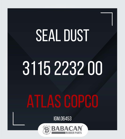 SEAL DUST 3115 2232 00