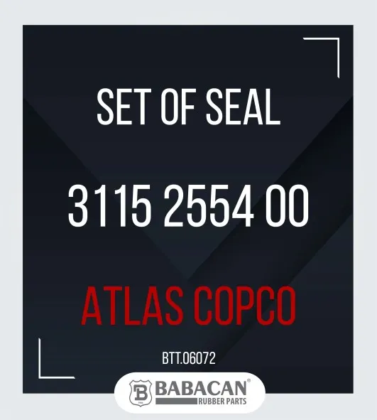SET OF SEAL 3115 2554 00 - 3115 2554 00