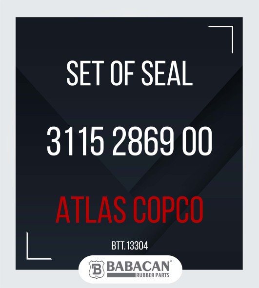 SET OF SEAL 3115 2869 00