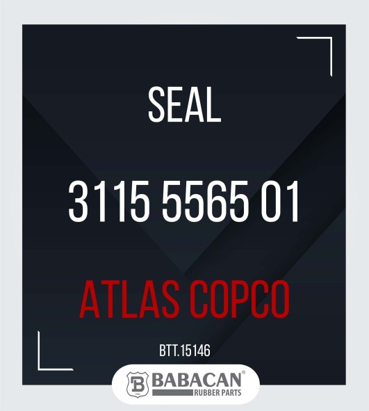 Seal  3115 5565 01