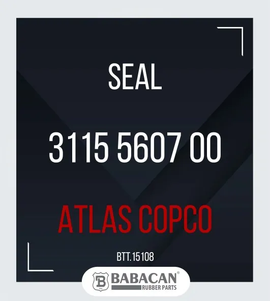 Seal  3115 5607 00 - 3115 5607 00