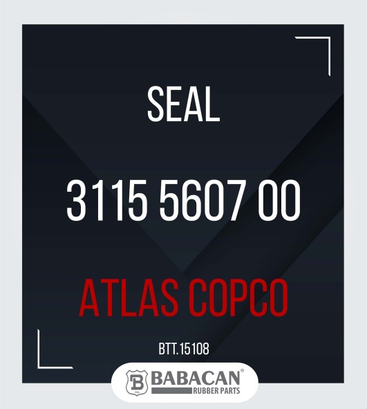 Seal  3115 5607 00