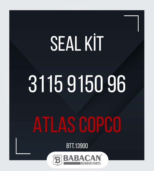 SEAL KIT 3115 9150 96