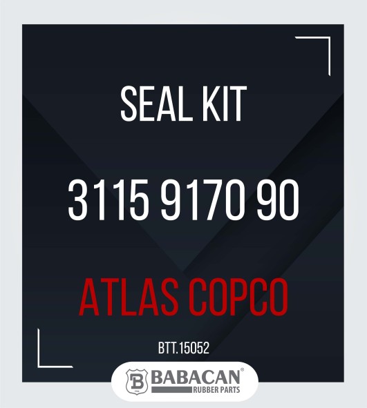 SEAL KIT 3115 9170 90