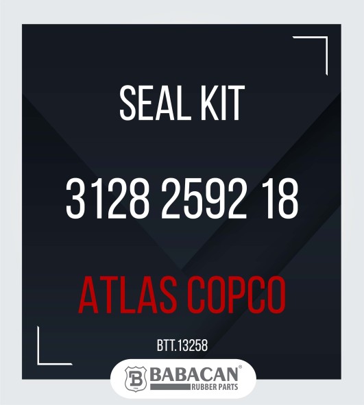 SEAL KIT 3128 2592 18