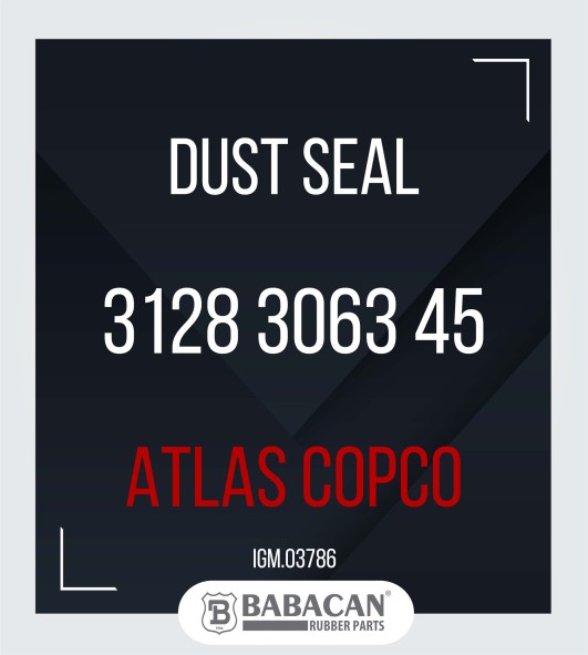 DUST SEAL 3128 3063 45