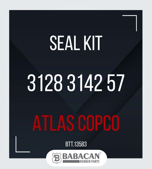 SEAL KIT 3128 3142 57