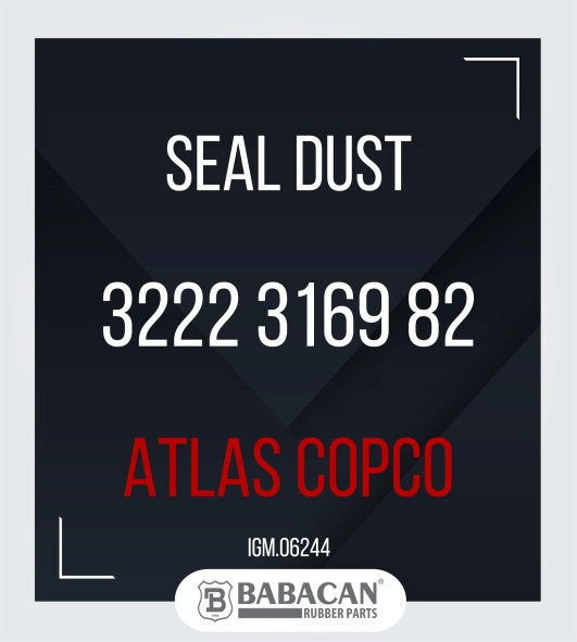 SEAL DUST 3222 3169 82